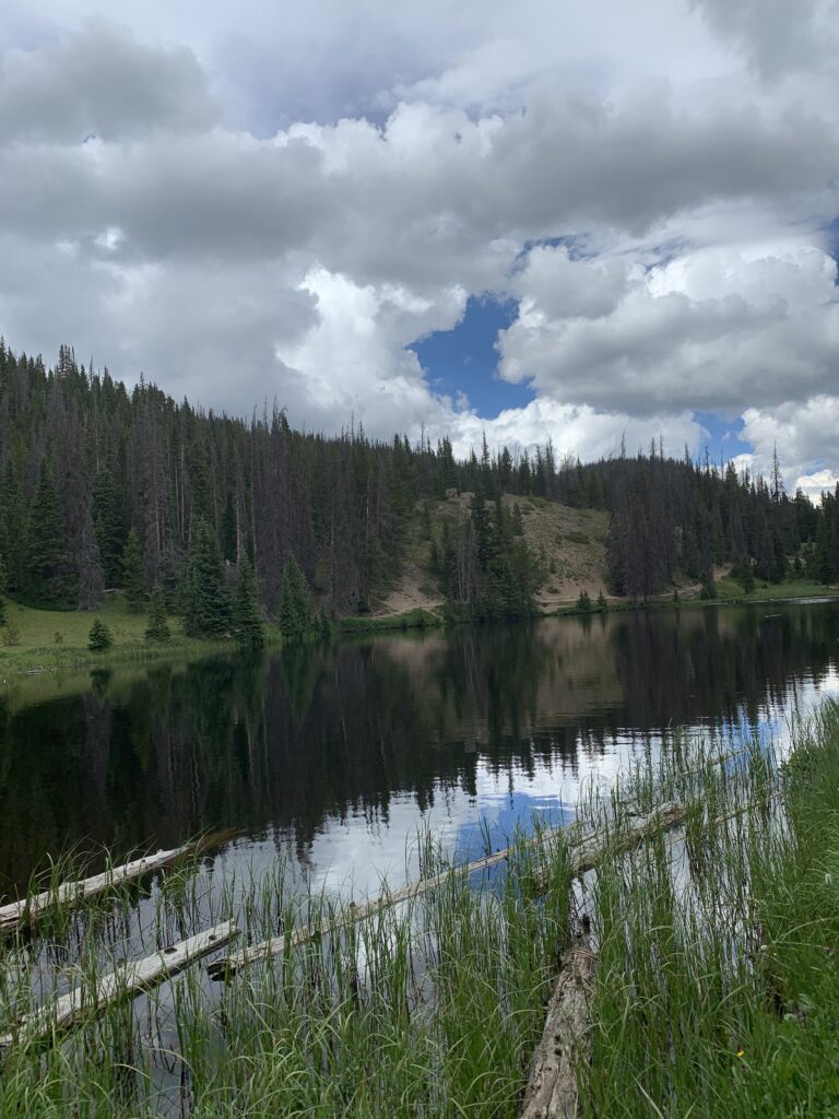 Estes Park