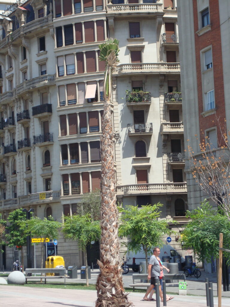 Park Güell in Barcelona